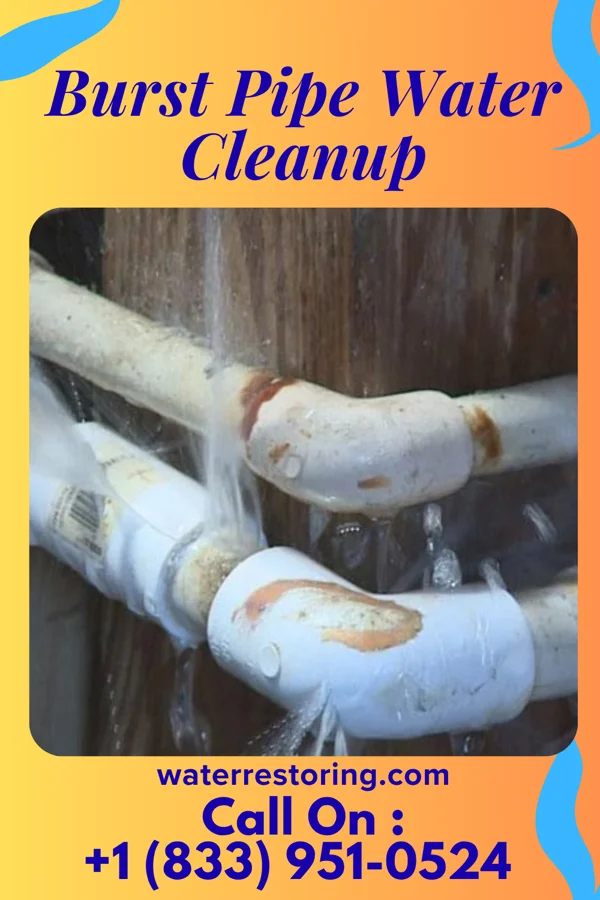Burst Pipe Water Cleanup in Como, NC