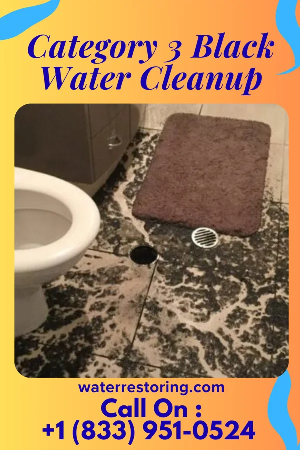Category 3 Black Water Cleanup in Como, NC